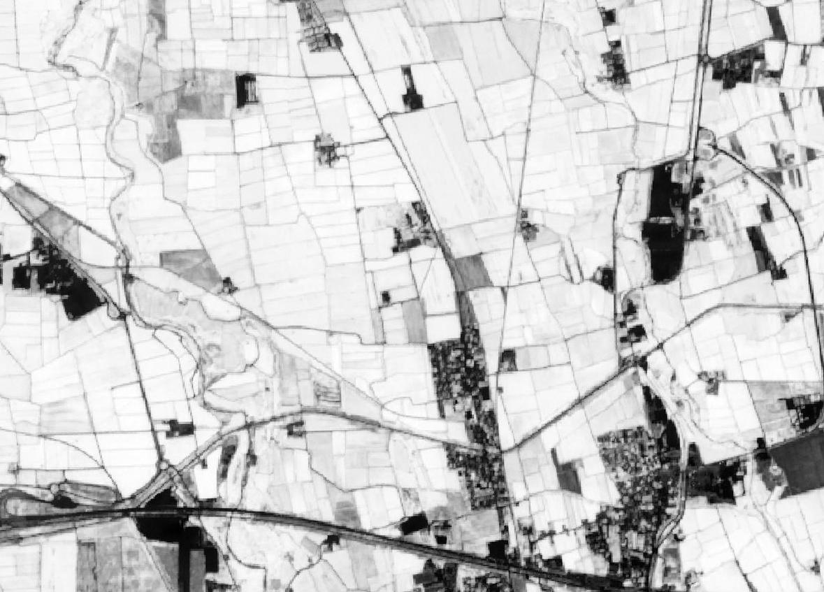 gif animata dell'indice NDVI