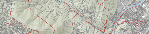 Mappa mosaicatura catastale regionale