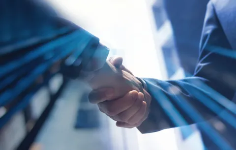 stretta di mano